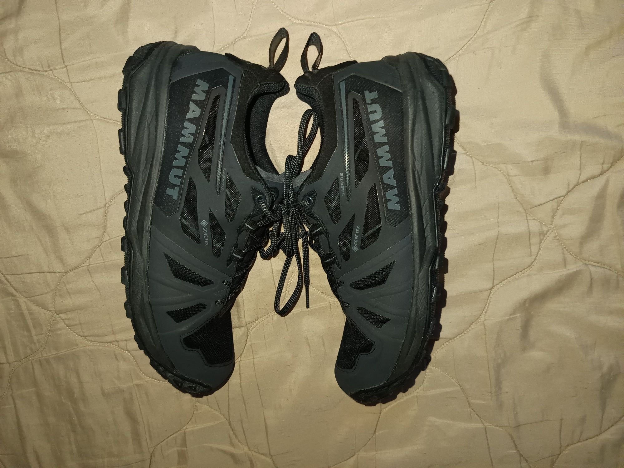 Mammut saentis 42