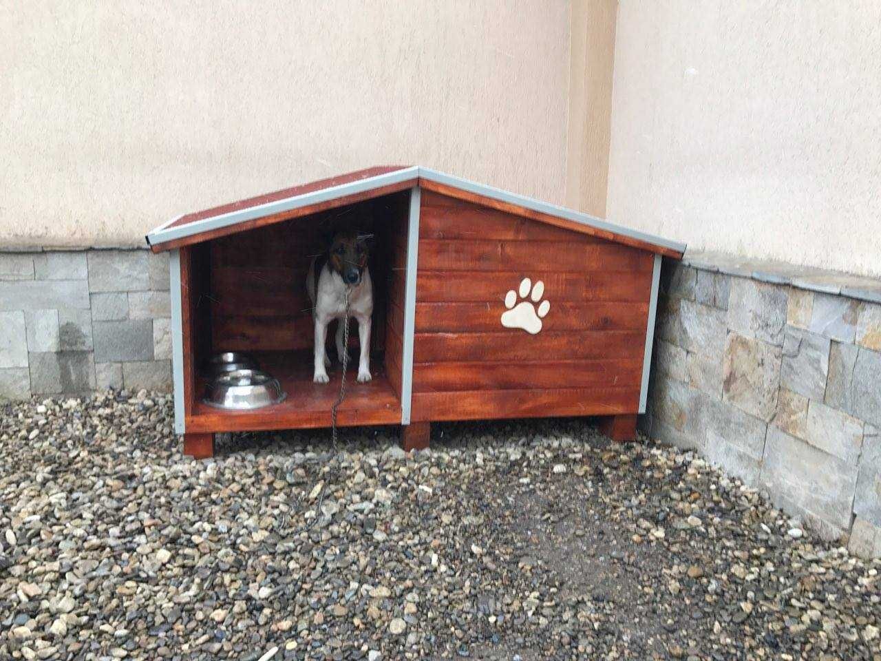Кучешка къща,кучешка колиба