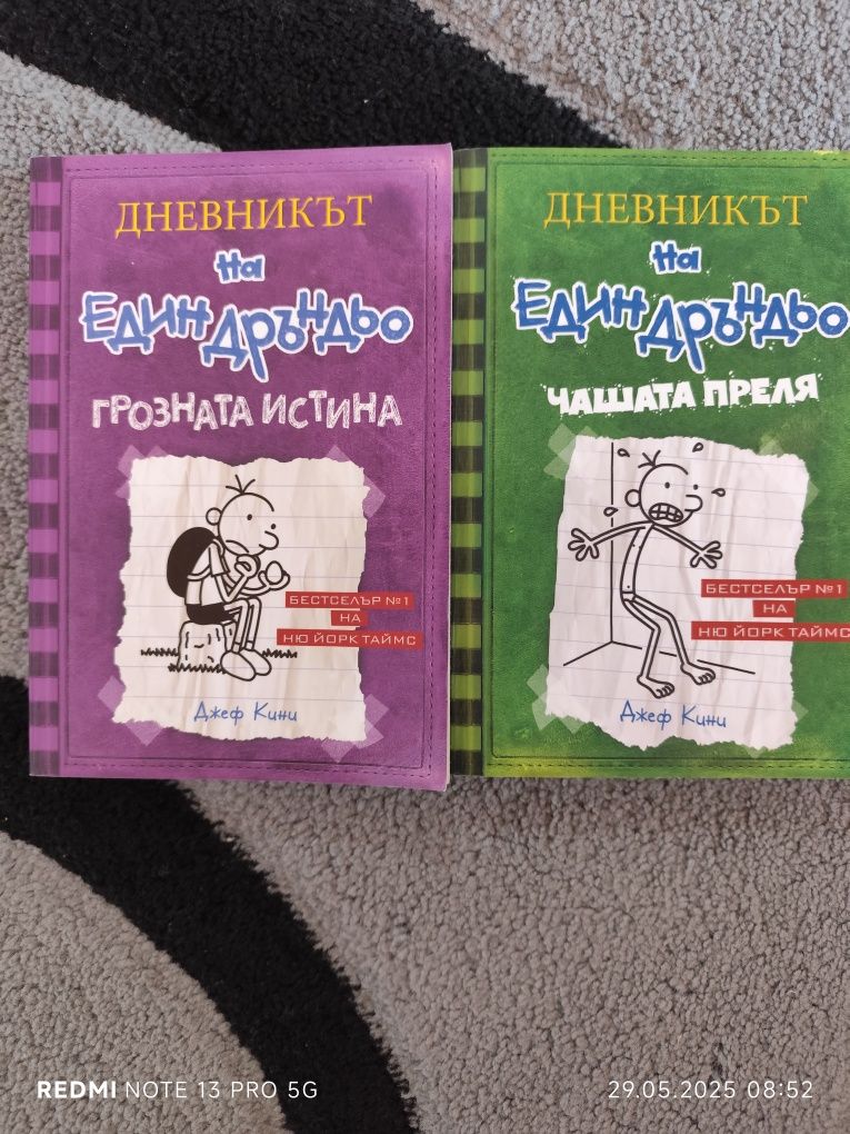 Дневникът на един Дръндьо