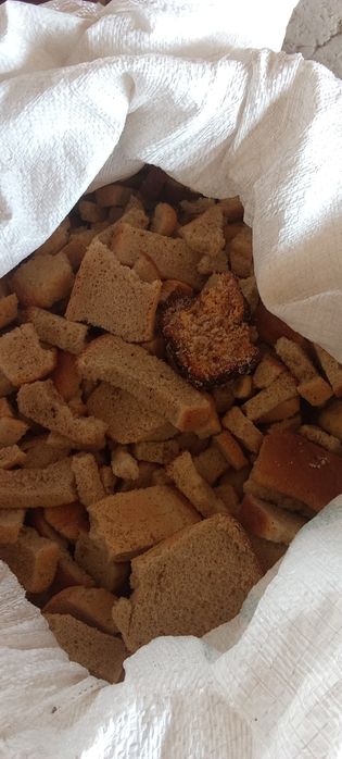 Беда поя, курутилган нон.