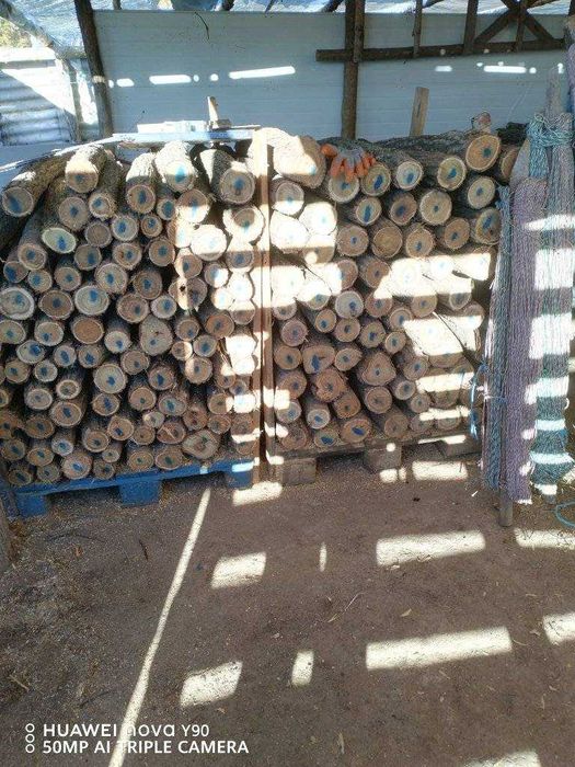 Акациеви колчета за електропастири ,крави,коне,кози , овце ! 4 лв /бр.