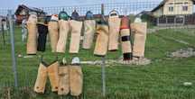 Manșoane/pantaloni/costum dresaj