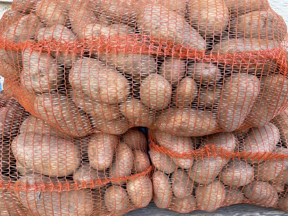 Cartofi albi bio, samanta ultra