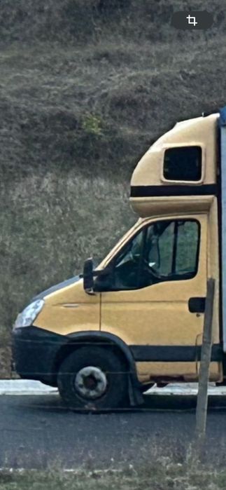 Vând transport animale vii