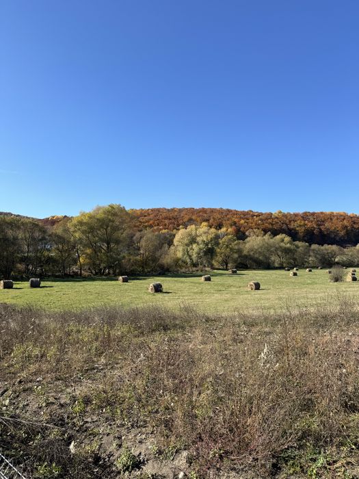 Teren de inchiriat Valcele 8600mp