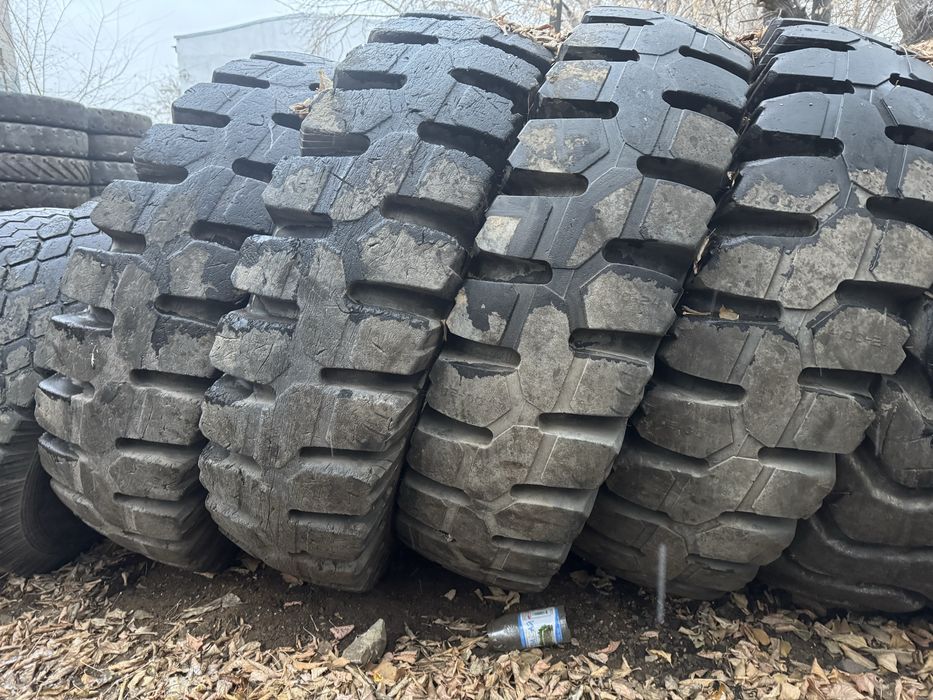 Продам шины 14.00.24