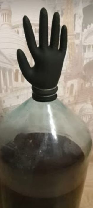 В.И.Н.О 12 выдержки