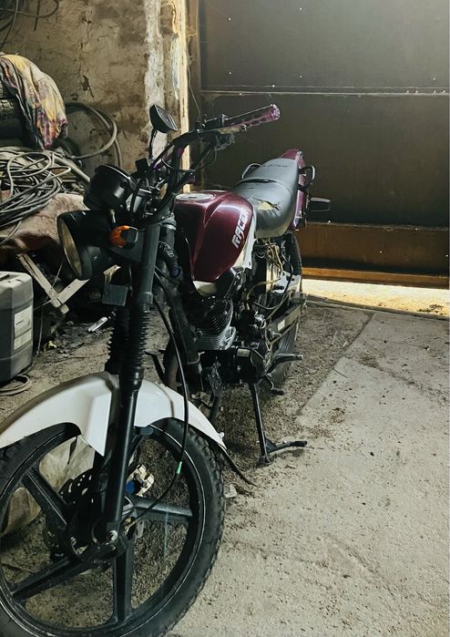 Продам рейсер тайгер racer