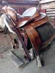 Sa de echitatie western