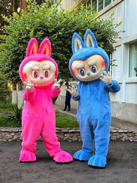 Ayiqlar sotiladi | Ayiq sotiladi