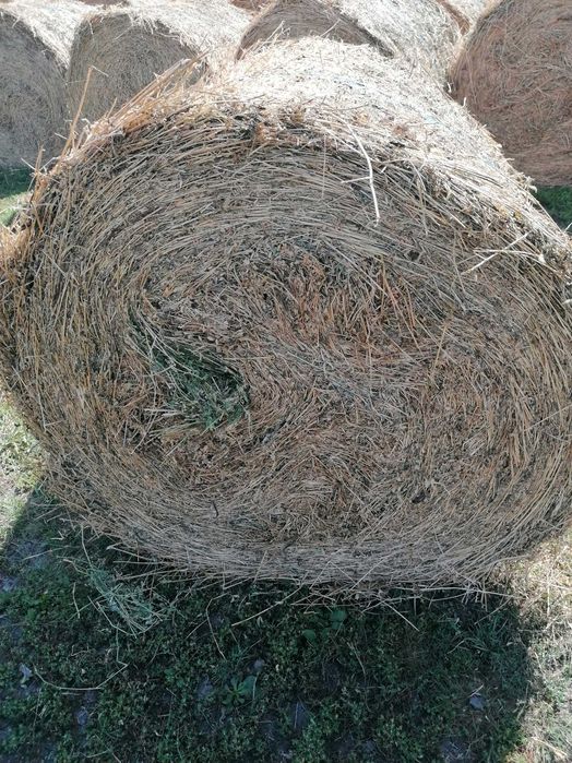 Baloti de lucernă și fan