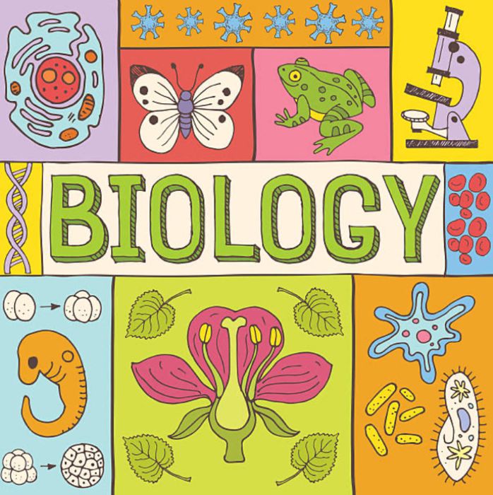 Meditatii biologie-Bac-Medicina-Farmacie-Kinoterapie