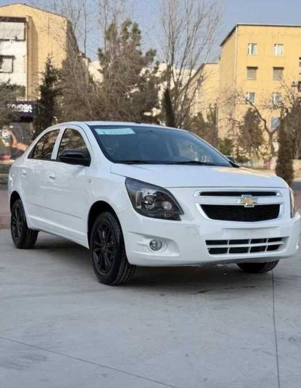 Cobalt midnight 2025