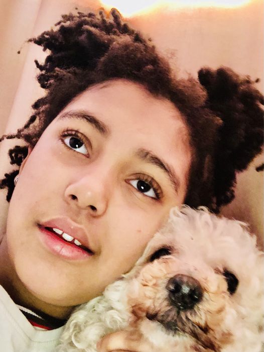 Cazare caini / pet sitter