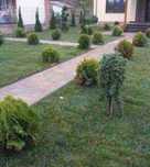 Gazon Rulou sisteme de Irigare
