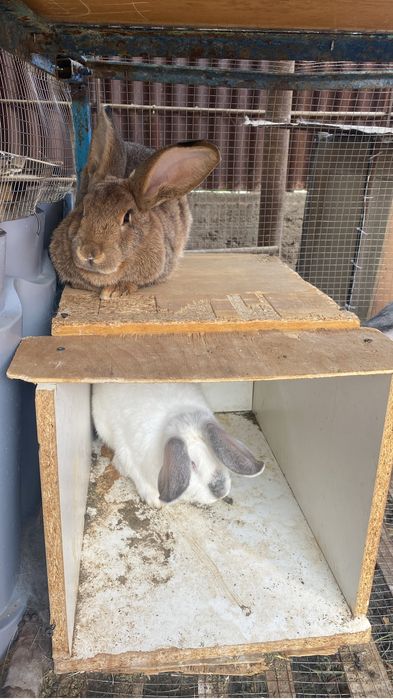 Оаллоао оаоаолкок оаокииада оаотаотта алооооа оовиат алктита аллоала а