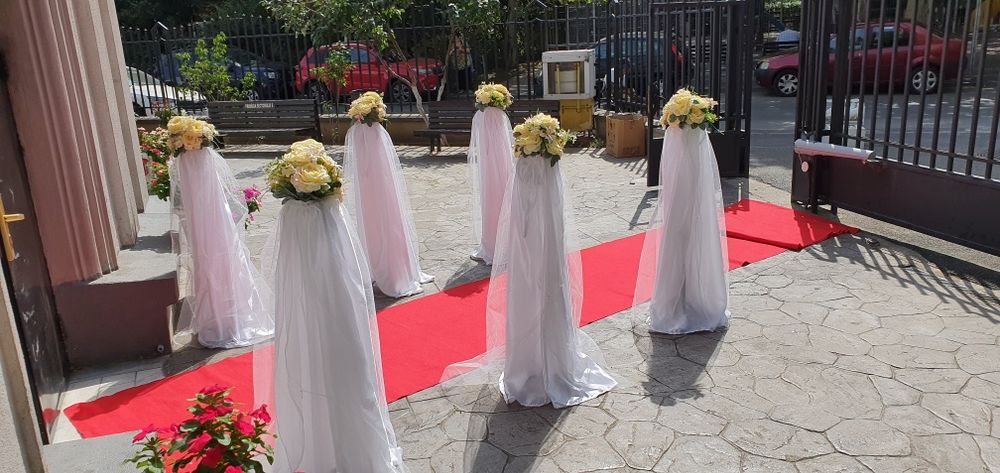 Porumbei albi evenimente