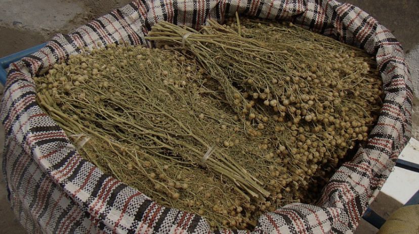 Продам Адраспан 50 тг. Адраспан сатылады 50 тг