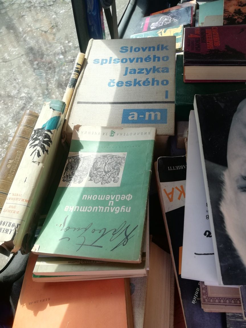 Продавам стари книги и речници на писателката и редактор Соня Несторов