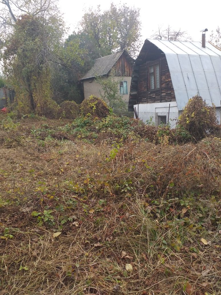 Покос травы, расчистка участка