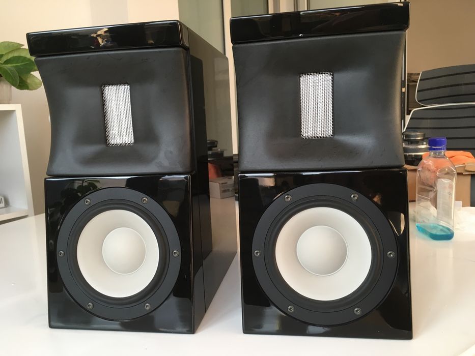 Boxe high end Raidho Eben X-streame bookshelf raft monitoare studio