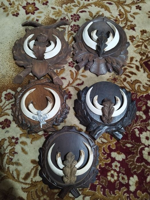 Trofee de vânzare 1500 lei cerb 2000 lei muflon