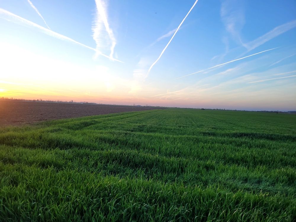 Vand teren arabil pentru detalii sunati la numarul afisat