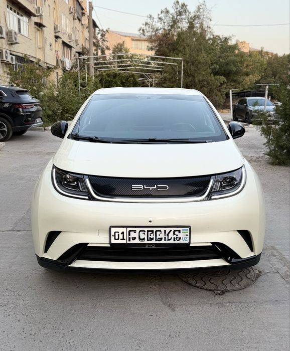 BYD Dolphin 420Km Toza