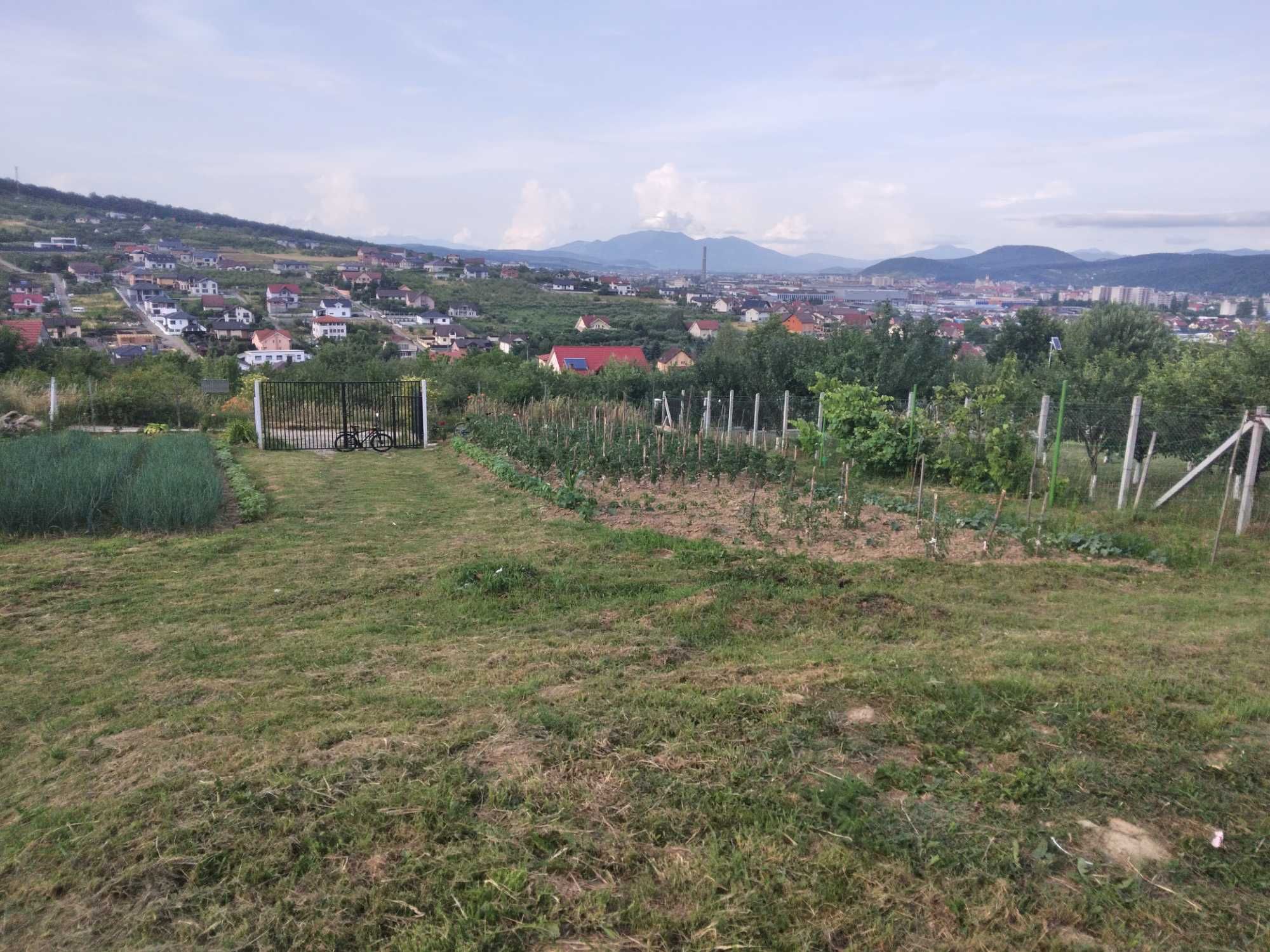 Vînd teren intravilant  suprafața2630m² alea coacăzilor