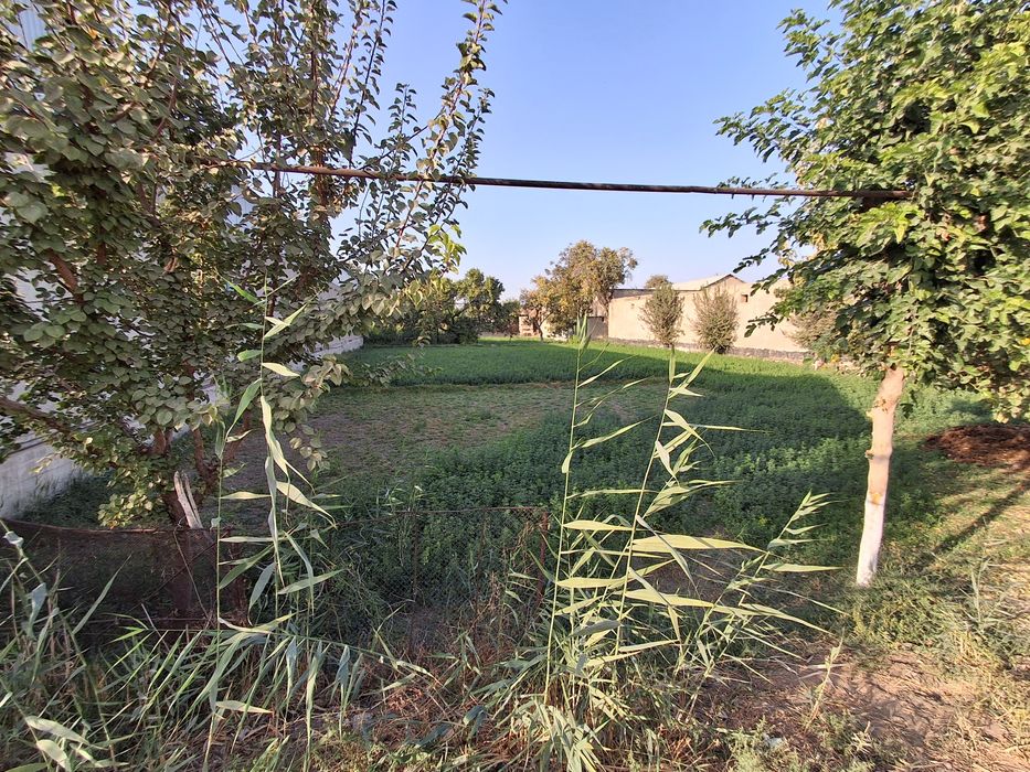 Uchastka uchun yer sotiladi