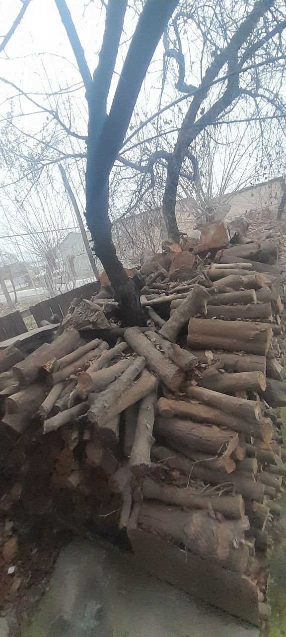 Kelishilgan holdan o'tin sotamiz