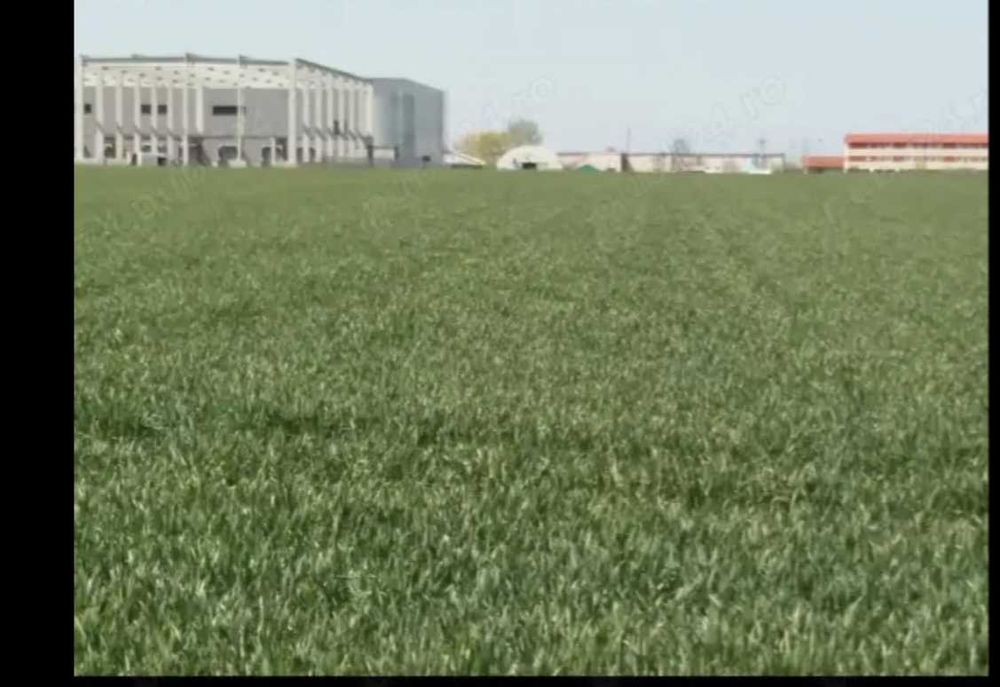 Vând terenuri industriale