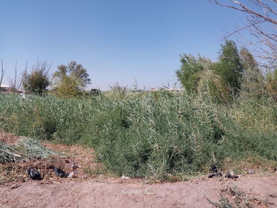 Атамакан көшесі 33 uy