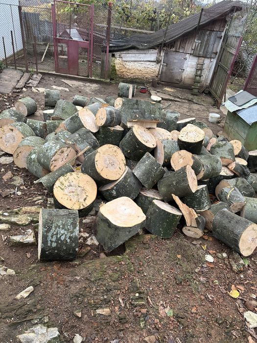 Lemn foc butuci,boci