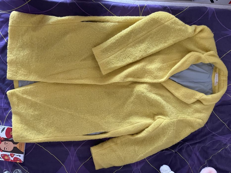 Pardesiu galben Potocaliu