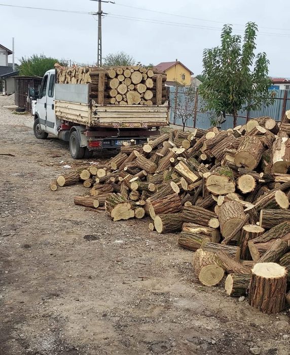 Lemne și cărbuni de foc