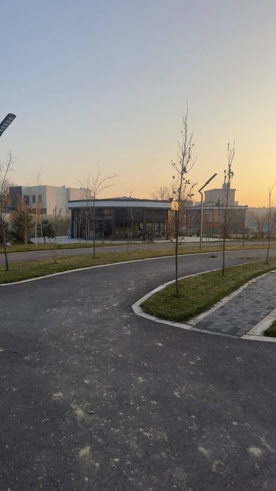 Caffe biznes srochna