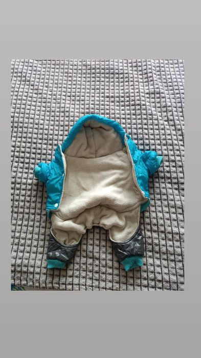 Одежда для той терьера