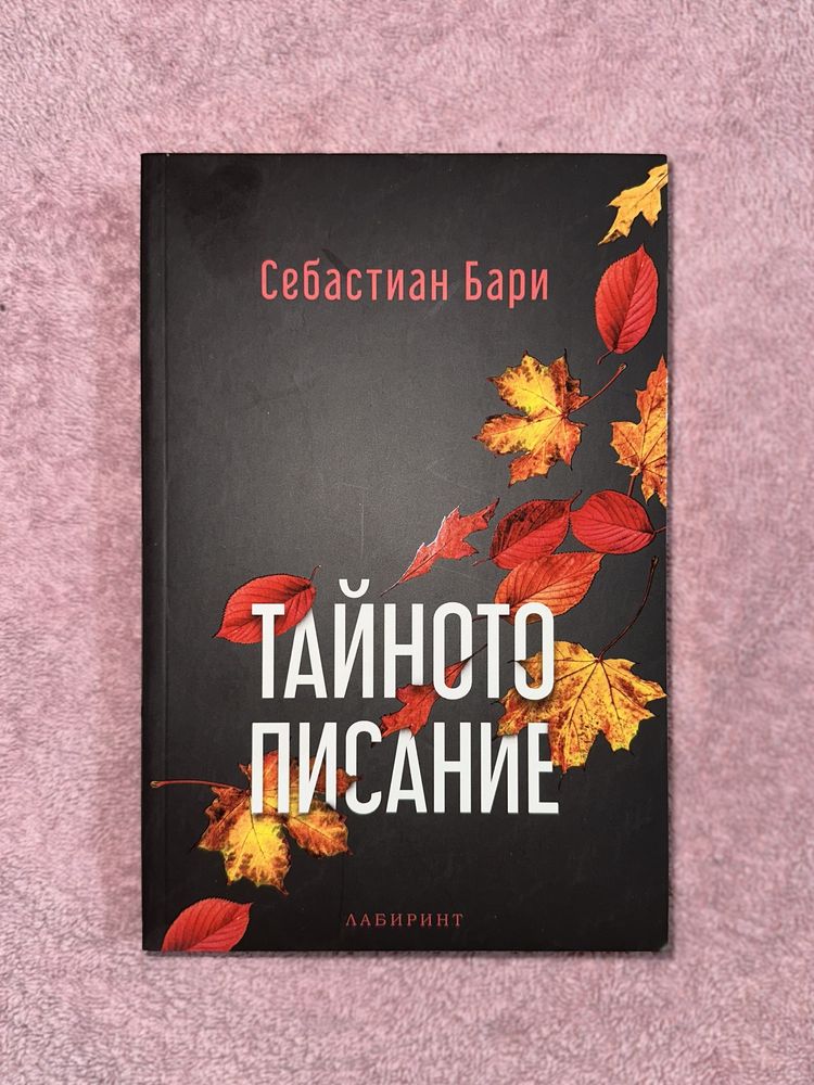 Тайното писание от Себастиан Бари