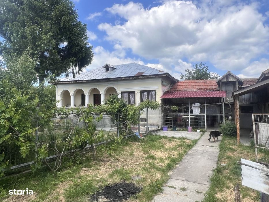 Casa zonă Negoiesti
