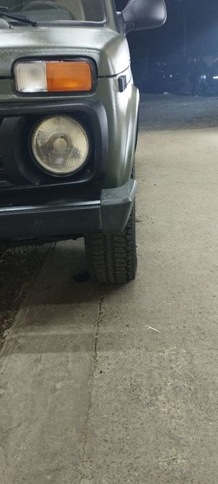 NIVA yil 2017 prabeg 154 ming