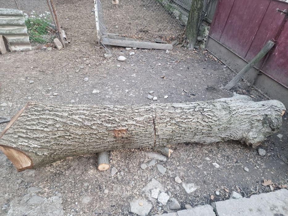 Lemn nuc mai multe bucăti