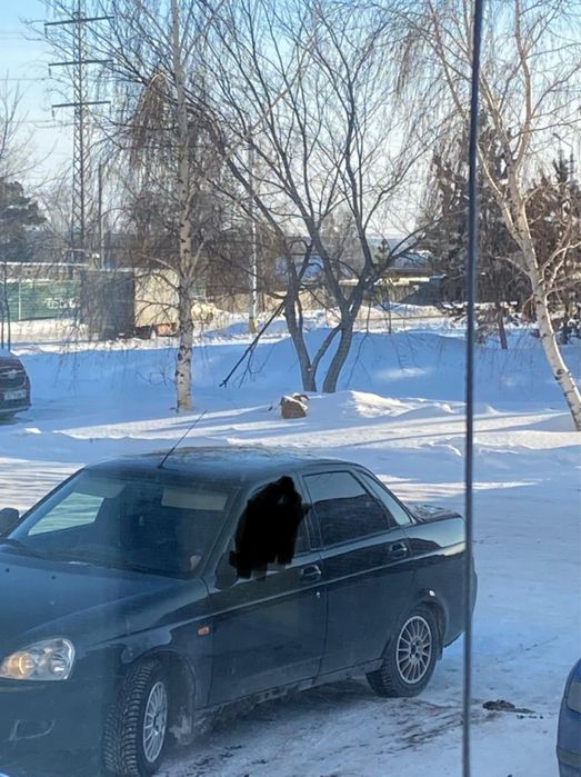 Продам диски R14