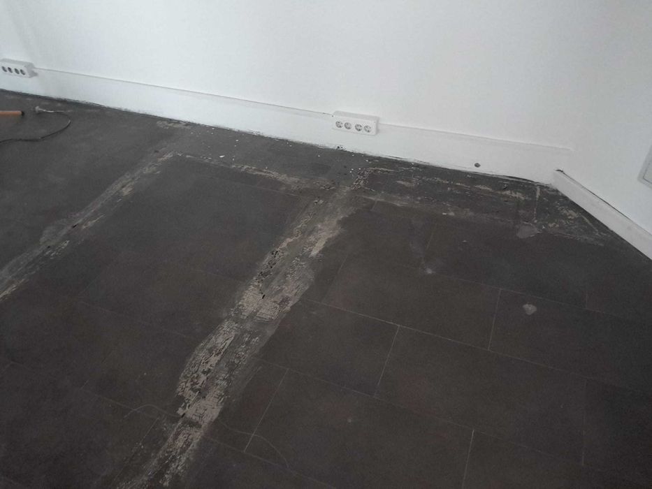 Servicii Curatenie si Intretinere Spatii Verzi