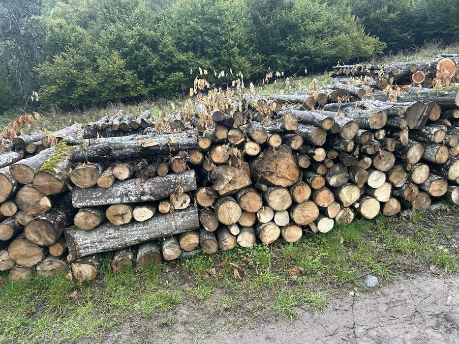 Vand lemne de foc uscat