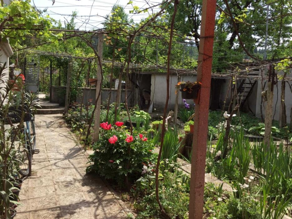 Продава се Къща в с. Ореховица, Област Плевен - 120 кв.м за 242 €/кв.м - Снимка #2