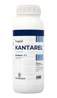 Vând fungicid sistemic KANTAREL/TOPAS