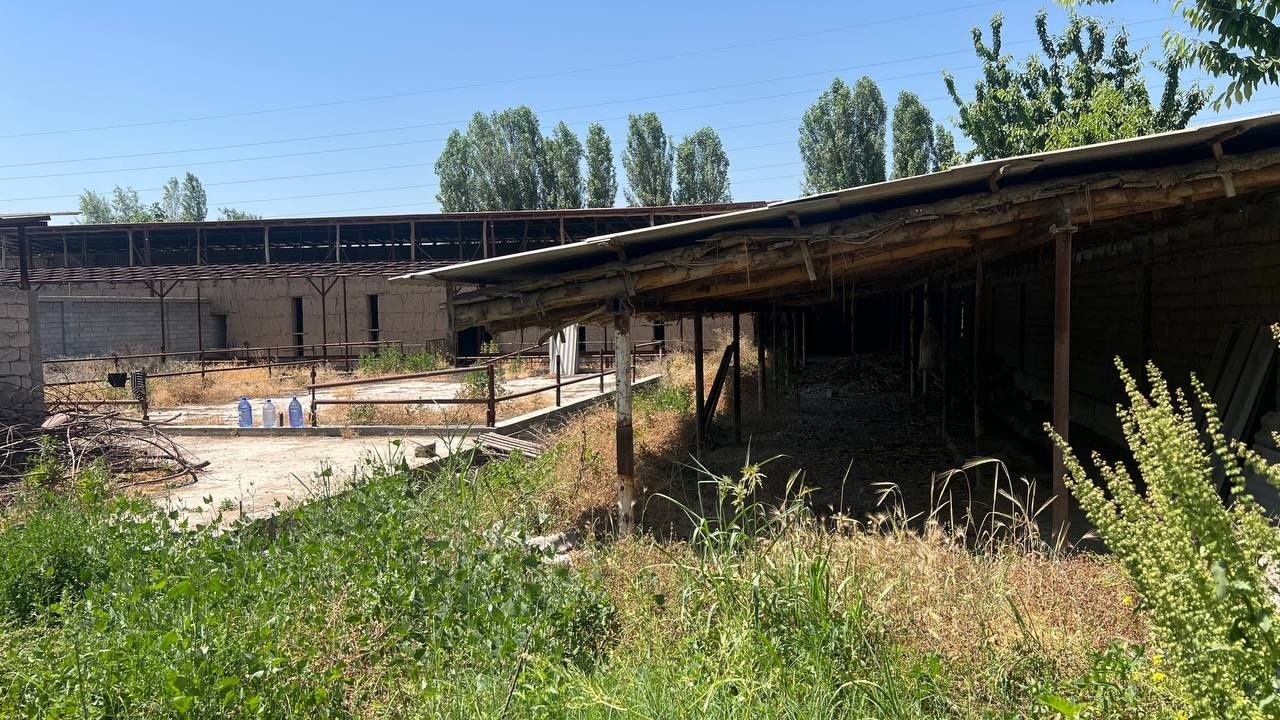 Arenda Ferma Xalqabod Yangiyol