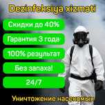 Dezinfeksiya кана пашша чивин бурга илон ари чимоли Дезинфекция