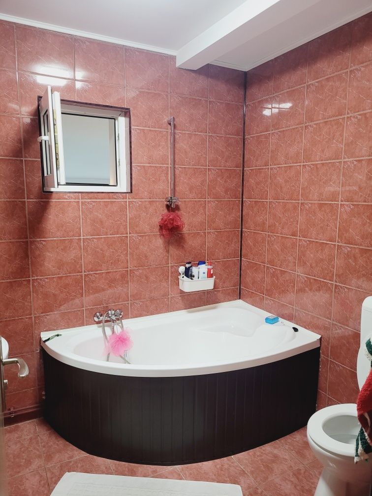 Casa vanzare curte